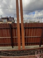 TARCICA MAHOŃ JATOBA C