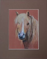 koń portret konia akwarela na papierze