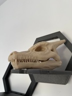 Czaszka pokemona Charizard 3D druk