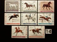 Konie w sporcie , Polska