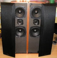 Kolumny GŁOŚNIKOWE Pioneer S-H310V 80W/8ohm BUK