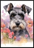 A2 59,4x42 PLAKAT OBRAZ AKWARELA, PIES RASA SZNAUCER MINIATUROWY 2