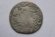 PÓŁGROSZ LITEWSKI ALEKSANDER JAGIELLOŃCZYK 1501-1506 SREBRO - CJ911