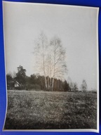 Białystok fot. Jerzy Boguszewicz duża