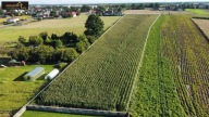 Działka, Tychy, Jaroszowice, 625 m²
