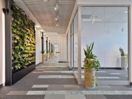 Biuro, Łódź, 243 m²