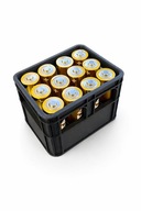 Pojemnik na 12 baterii AA – solidny organizer
