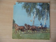 Irena Jarocka - To co zdarza się raz Irena Jarocka Winyl