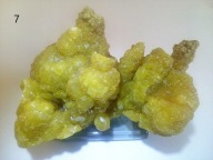 MIN 1332 SIARKA CELESTYN MACHÓW 2 szt każda 180 zł