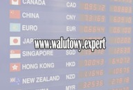 Domena Internetowa WWW.WALUTOWY.EXPERT