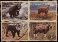 ONZ - Genewa ** 2004 r. ssaki