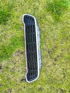 Gril atrapa Mini Coutryman Cooper S R60