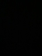 Jak nowa rzeźba kolekcja mrówka