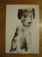 JANUSZ GRABIAŃSKI PIES PIESEK Karnet