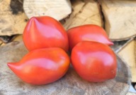 Pomidor Matt d' Imperio stara odmiana nasiona kolekcjonerskie