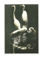 Pocztówka - Fran Bull, Czaple nad wodą, czyli Moja Georgia ...