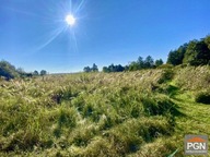 Działka, Gryfice, Gryfice, Gryficki, 1710 m²