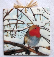 Robótkownia Kafelek obrazek 15x15 Ptak ptaki Rudzik w gałęziach