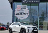 Lexus UX UX 250h F Impression Vat Marza Salon PL Serwis ASO 2.0