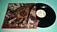 Simple Minds - This Is Your Land - maxi