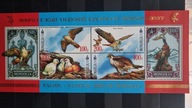Mongolia Ptaki 2013