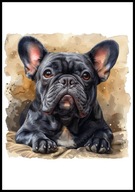 A2 OBRAZ PLAKAT PIES PUPIL PLAKAT BULDOG FRANCUSKI