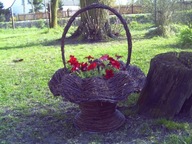 duży wiklinowy kosz falbana