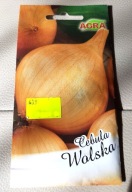 Nasiona Cebula Wolska AGRA