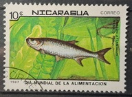 Ryby (kas) - luzak - do uzupełnień 13/8