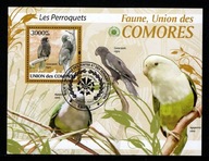 Komory / Mini arkusz 2379 ( Fauna - Ptaki - Papugi ) 2009 r