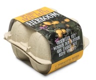 ZESTAW DO UPRAWY BAKŁAŻANA W MINI DONICZKACH