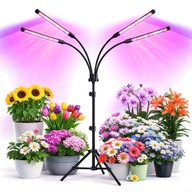 LAMPA LED na klipsie 3 TRYBY do WZROSTU UPRAWY roślin TIMER USB 4 ramiona