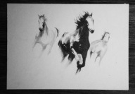 galop - Praca Ręcznie Tworzona (223) – dla 884 Skubalskich