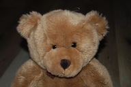 pluszak maskotka miś misiu misio Gampi