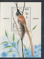 Fauna flora bl tematyczny