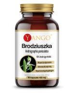 Suplement diety Yango Brodziuszka Andrographis paniculata 90 kapsułek
