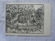 LUTNISTA GRAJĄCY W OGRODZIE DRZEWORYT 1953 r.