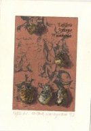 WITOLD WARZYWODA, EX LIBRIS JERZEGO WEINBERGA