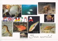 CHORWACJA - MORZE ADRIATYCKIE - RYBA - RYBY - KONIK MORSKI - FLAGA