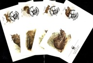 Portugalia - 4 Koperty FDC / 1730-1733 ( WWF - Fauna ) 1988 r.