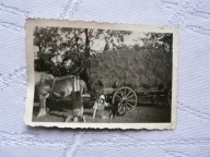 WÓZ Z SIANEM DOPISEK PAMIĄTKA Z NIEWOLI