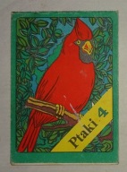 KOLOROWANKA Z PRL - PTAKI 4 - PRODRYN CHORZÓW