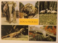 PŁOCK. ZOO Miejski Ogród Zoologiczny w Płocku, CZYSTA