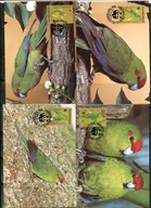 A51350)WWF-Maximum Karty Ptaki: Norfolk-Inseln 421 - 424