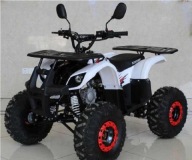 Kingway Hummer Quad spalinowy KINGWAY 125cc KILLER WARRIOR automat 1R skle