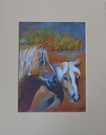 dwa konie w plenerze akwarela na papierze