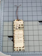 Gra na Jedną Kartę: Adoptujesz kota (7)