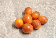 Pomidor Banana Lemon Singapore (494) nasiona kolekcjonerskie