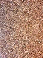 OWIES gnieciony pasza zboże dla koni kucy 20kg