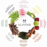 Perfumy Glantier-802 Drzewno-Wodne 50 ml